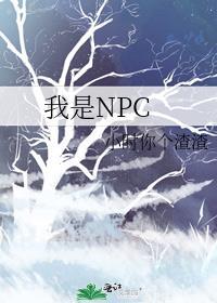 我是NPC 如此艰难
