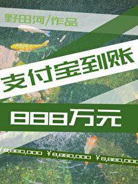 支付宝到账888万元怎么回事