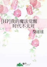 我的魔法时代免费阅读