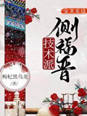 技术派侧福晋清穿笔趣阁