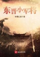 东晋小军将最新