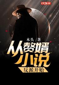 从赘婿开始逆袭