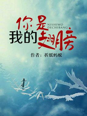 你是我的翅膀晋江