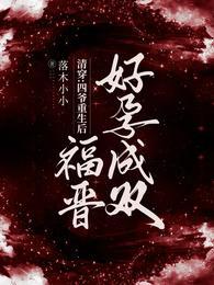 清穿四爷重生福晋穿越