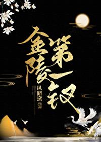 金陵第一钗讲了什么故事