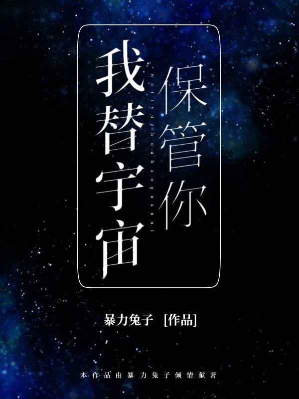 我替宇宙保管你完本