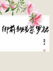 御前新赐紫罗裙类似