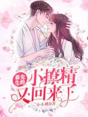 慕先生的小撩精又回来了免费版