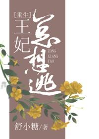 重生之王妃别想逃
