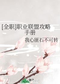 全职职业联盟攻略手册是BG吗?