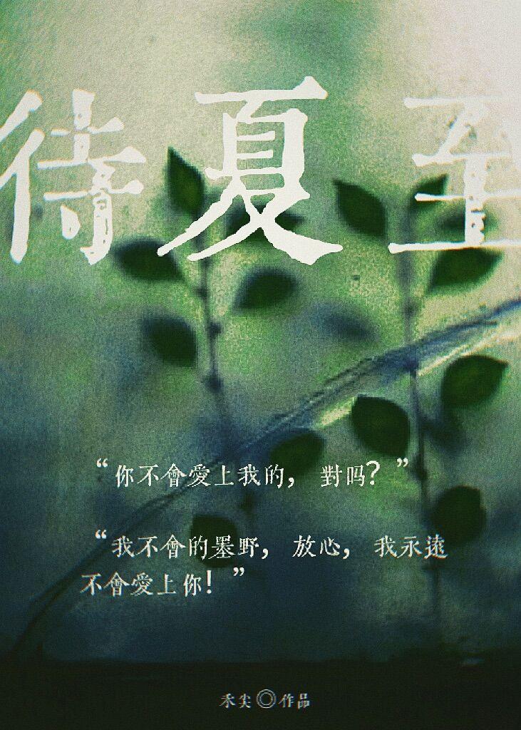 待夏至全文免费阅读