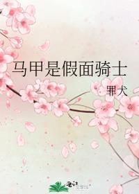 马甲是假面骑士的哪一部