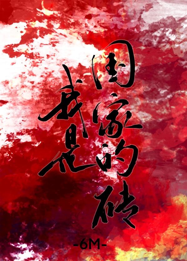 我是国家的砖全文阅读