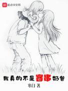 我真的不是客串奶爸最新章节