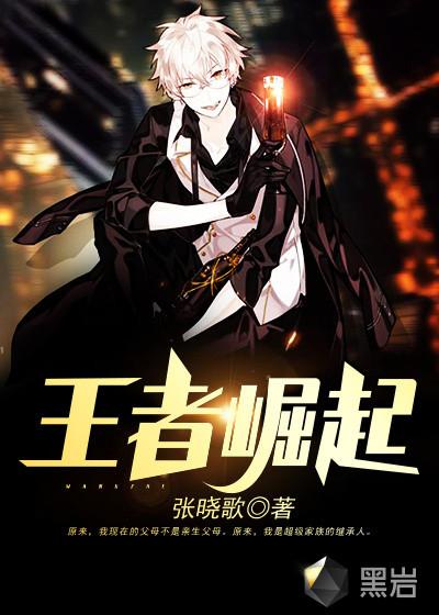 王者崛起PC端登录入口