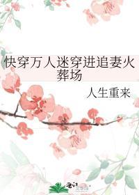 快穿万人迷穿进追妻火葬场26