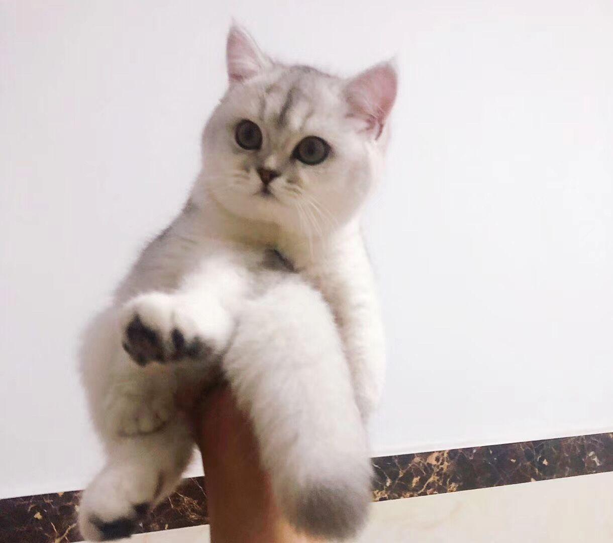 想把自己藏起来是哪种心理疾病