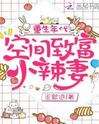 3重生年代空间致富小辣