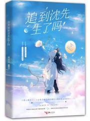 今天追到沈先生了吗笔阁趣