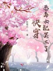 穿成恶毒女配怎么办gl