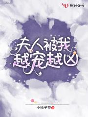 夫人宠你成瘾全文阅读