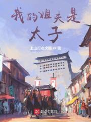 我的姐夫是太子有几个女主