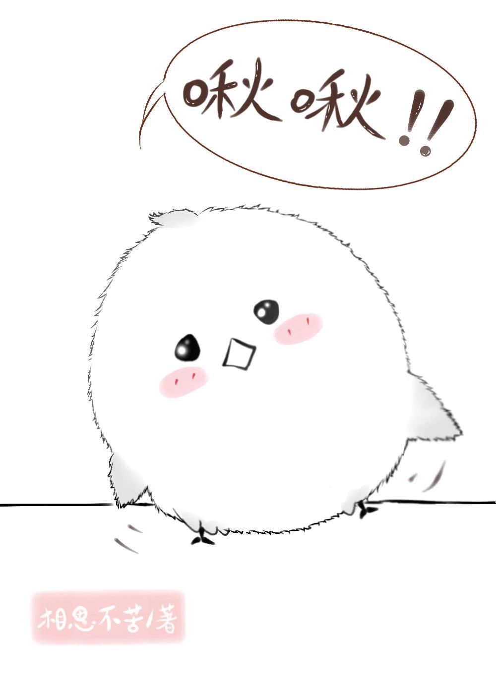 万人迷团宠男团