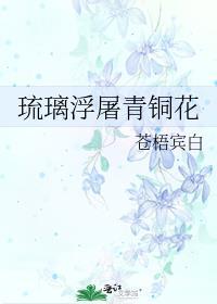 琉璃浮屠青铜花 256中文网