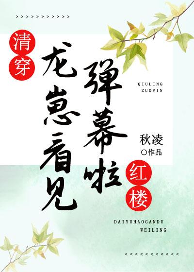 清穿红楼宠文