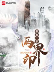 我有一枚两界印TXT精校