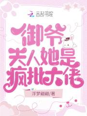 您家夫人又掉马甲了书包御爷