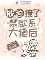 被迫撩了禁欲系大佬后 免费