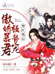 神医凰后的结局是什么