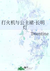 打火机和公主裙结局