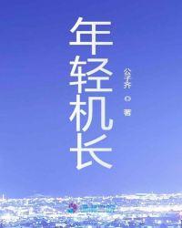 年轻机长免费阅读