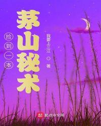 捡到一本茅山秘术TXT