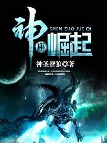 神座崛起无防盗