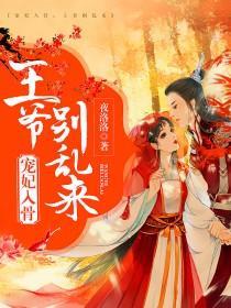 宠妃天下王爷别闹