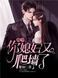 战少你媳妇又爬墙了战少胤宋画意