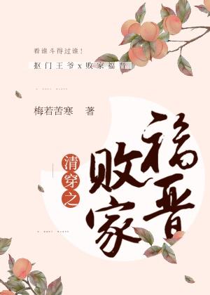 清穿之败家福晋梅若苦寒