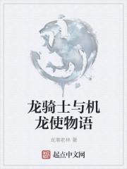 龙与骑士姬312