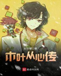 木叶从心传顶点