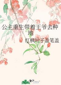 重生王爷公主妃作者肖羊