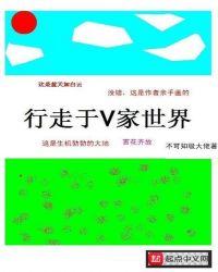 行走于v家世界等级