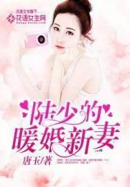 陆少的暖婚新妻最新章节目录