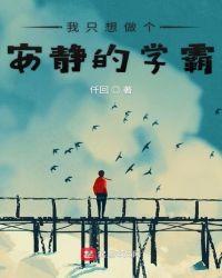 我只想做个安静的学霸txt