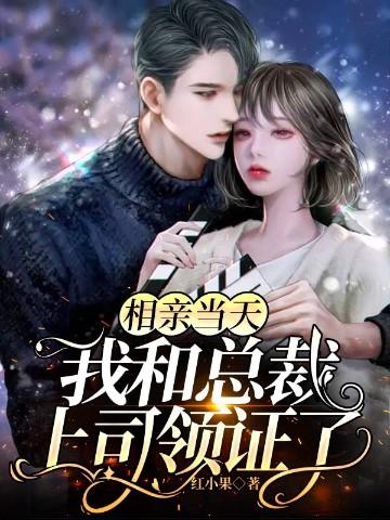 我和总裁上司领证了最后结尾