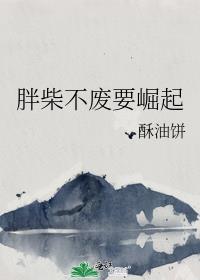 胖柴不废要崛起在线阅读