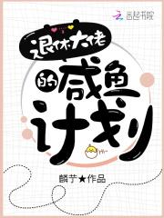 退休大佬的咸鱼计划免费阅读