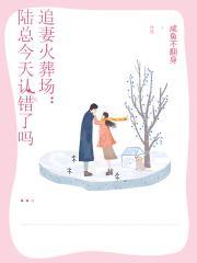 总裁追妻火葬场陆彦辰